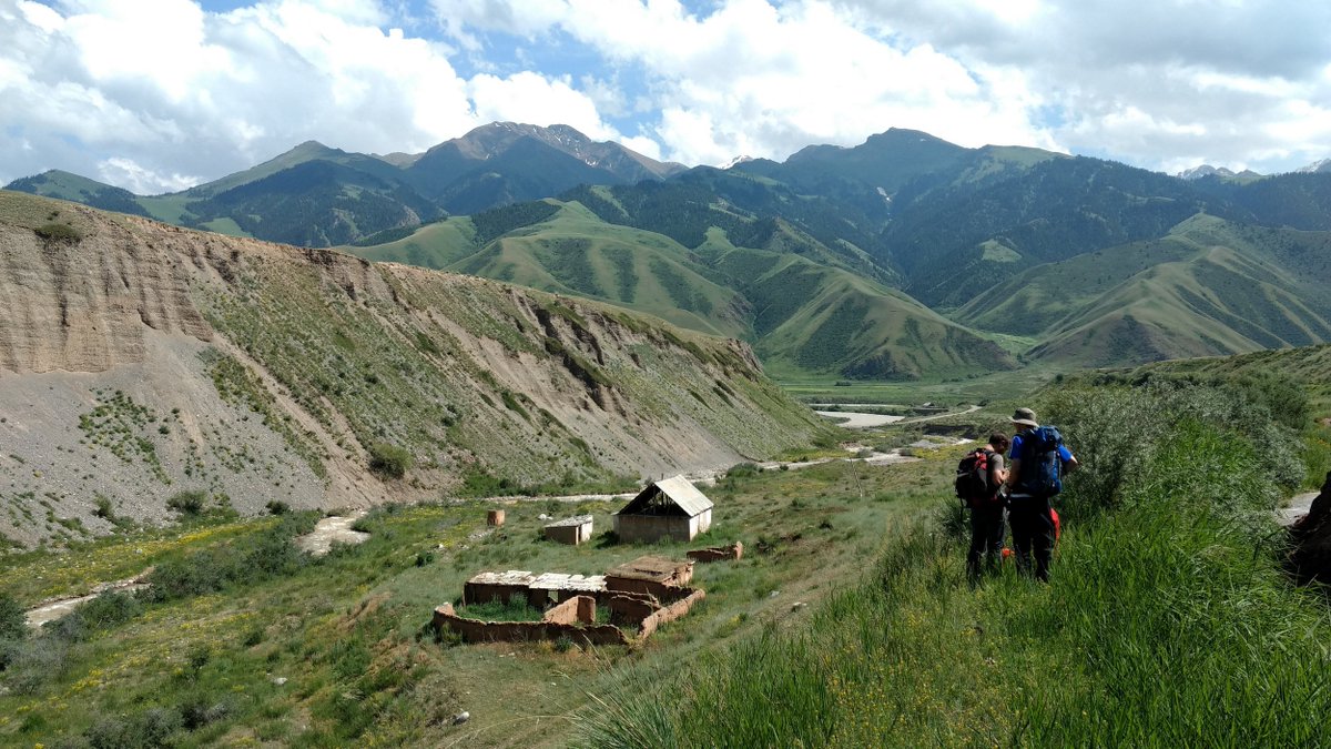 JD Dianala tweet media