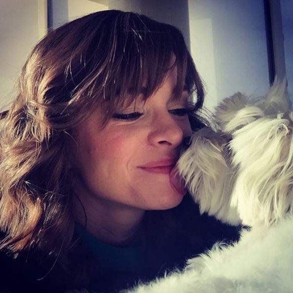 chenfordsbee's tweet photo. RIP little Bella, thank you for giving so much love to our @dpanabaker. You will be deeply missed ❤️ https://t.co/2znok3SaYH