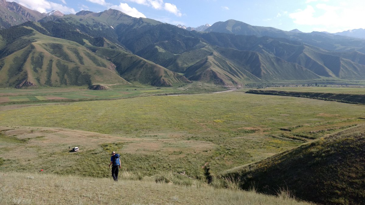 JD Dianala tweet media