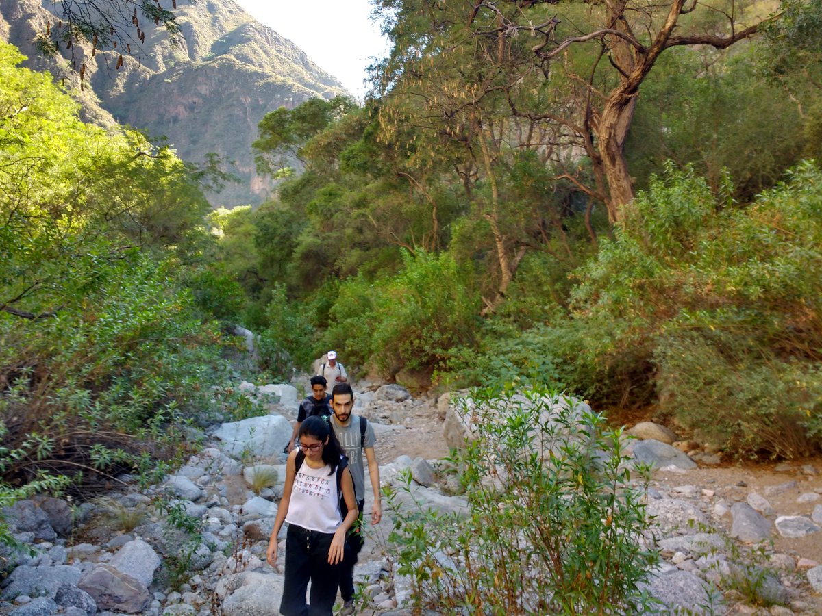 ManuRoblesLR's tweet photo. #trekking Conmemorando el Día de la #Tierra 🌎
#dayoftheearth https://t.co/0yzFP85Pv7