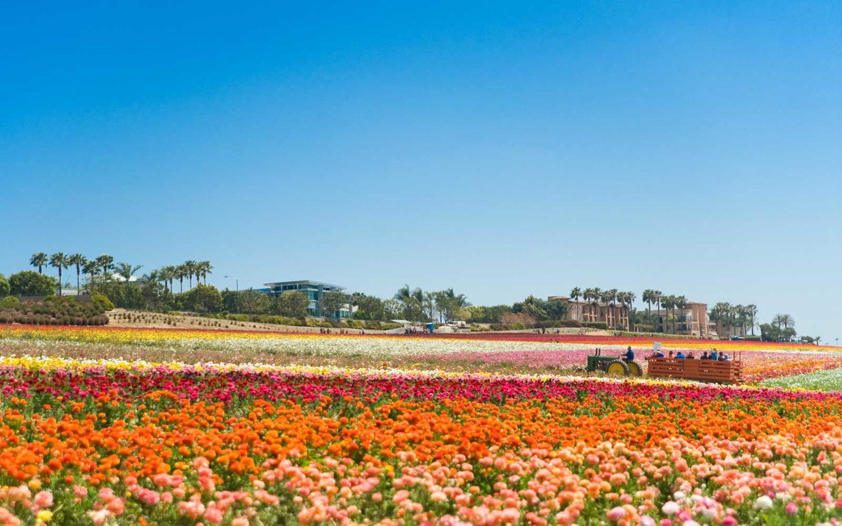 ALTOUR's tweet photo. As we approach May, check out our list of destinations perfect for a May vacation. https://t.co/dMzbJAjNn2 #ALTOUR #travelnews #travelinMay https://t.co/aBn2pMdI1l