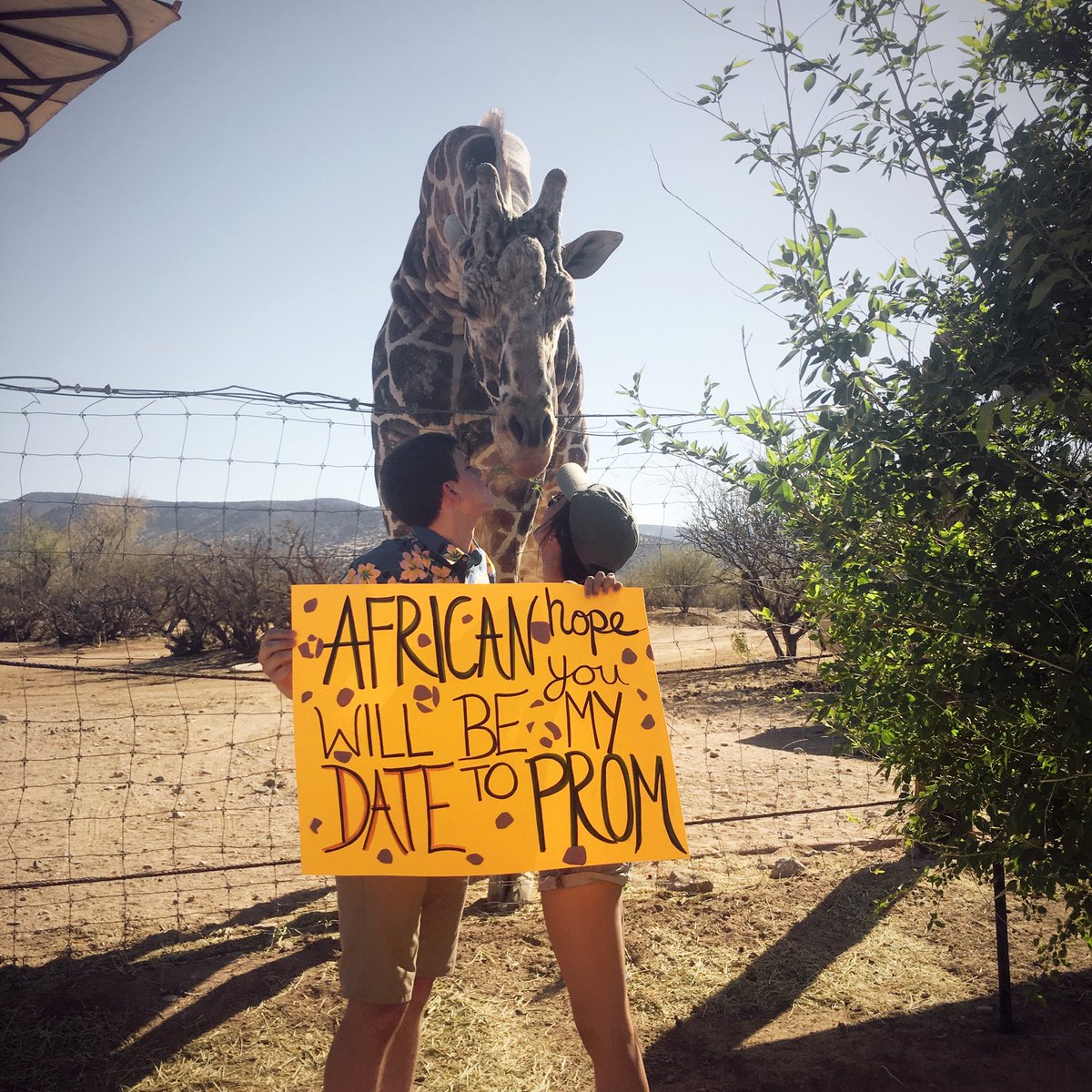 ericabiggs2's tweet photo. African cant wait for prom with my boy😍🧡🦒 https://t.co/beWFhJSLsP