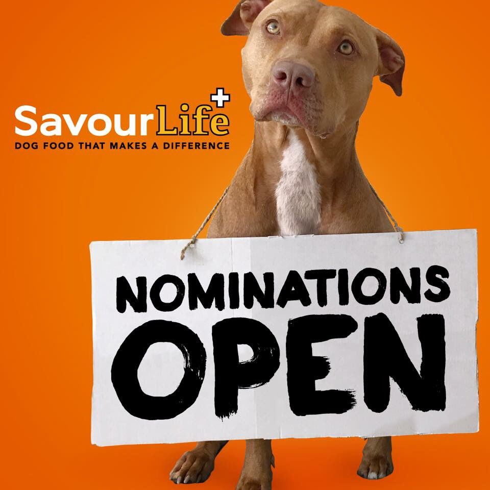 SavourLife's tweet photo. Find our grain-free food range at all Petbarn &amp; City Farmers nationwide! For a limited time its only $79 for a big bag!

To celebrate we are donating some $$ with our 2nd donation project of 2018 coming up.

Nominate your favourite #dog rescue now!
#savourlife #socent https://t.co/SgB4X0S73c