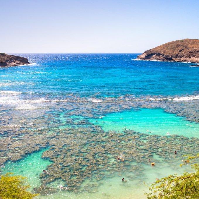 aquaaston's tweet photo. What's your favorite way to explore the ocean in #Hawaii? 🐠There's so much to sea, and we want to keep it that way! Protect our coral reefs by using sunscreen without oxybenzone, which causes coral bleaching. We provide some to all our Hawaii guests! #ForOurReef #EarthDay https://t.co/0WppNYROSN