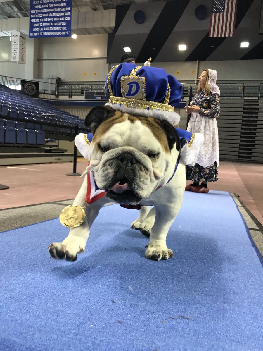 DrakeUGriff's tweet image. Got so excited I failed to let you know that Bow-Z is the new #BeautifulBulldog ! Congratulations, Bow-Z!  I look forward to spending the week with you, my friend!!! 👑