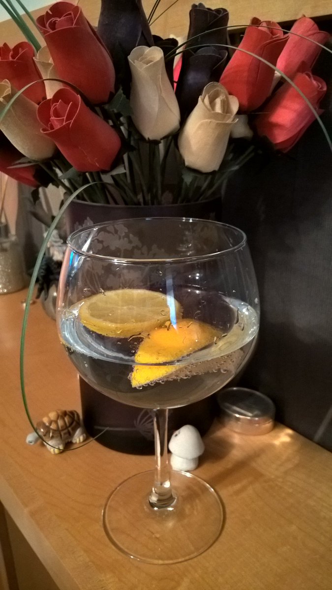 The Lakes Gin with Indian tonic water and slices of lemon is simply delicious #stilldrinkinggin @thelakesdistillery