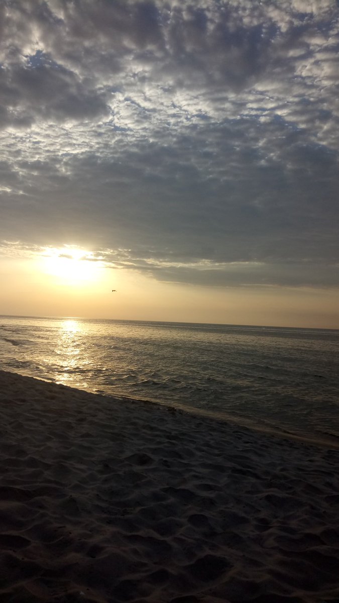 ana_sky3's tweet photo. 🌅🌞🌊🐳🐚🐠 https://t.co/q8pBZhLkuA
