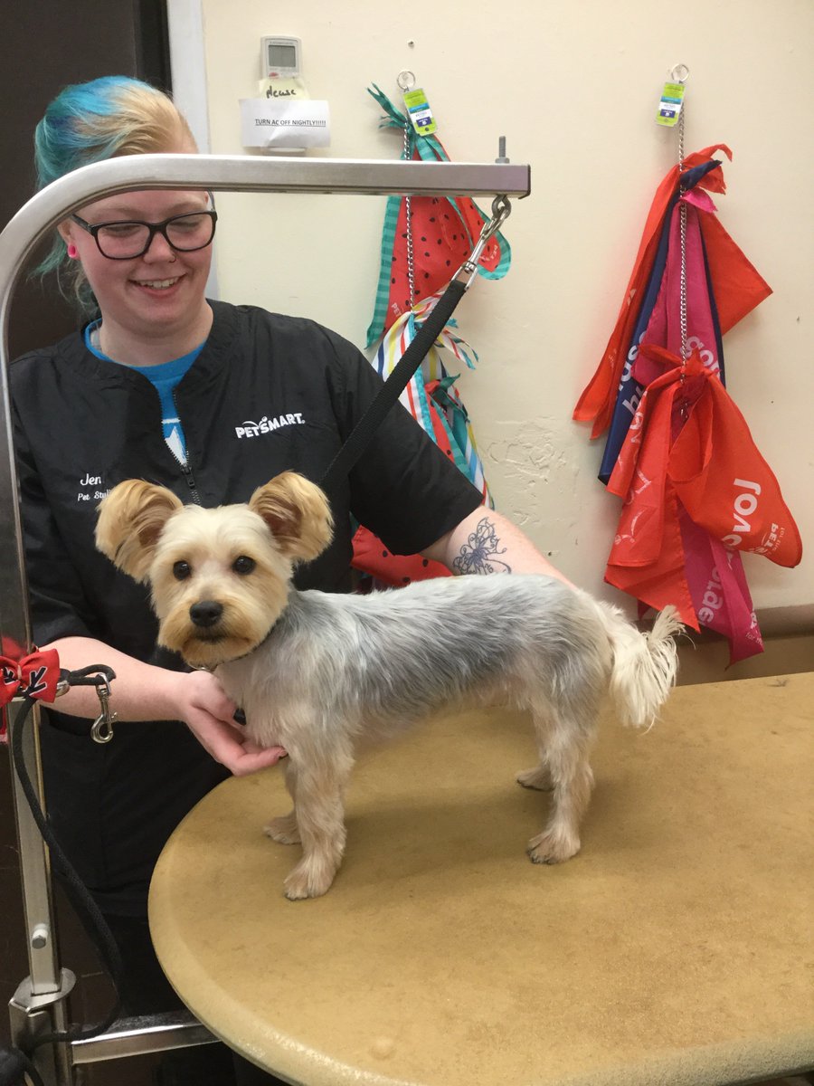 #northeastgrooming #0733 #extrememakeover #nyc Stylist: Jen Spielman Category: Extreme Makeover