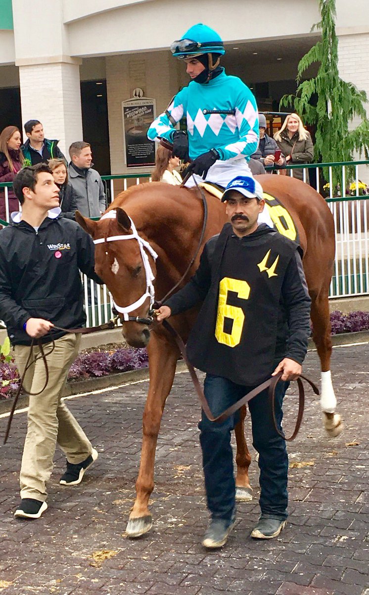 hernon_michael's tweet photo. Now a G1 Winner MONOMY GIRL @bradcoxracing @flothejock prior to her emphatic 6L Win In Rags to Riches S., last Fall @ChurchillDowns.  Look for her May 4, in KY Oaks.  #naturalSpeed https://t.co/364XmiqMM6