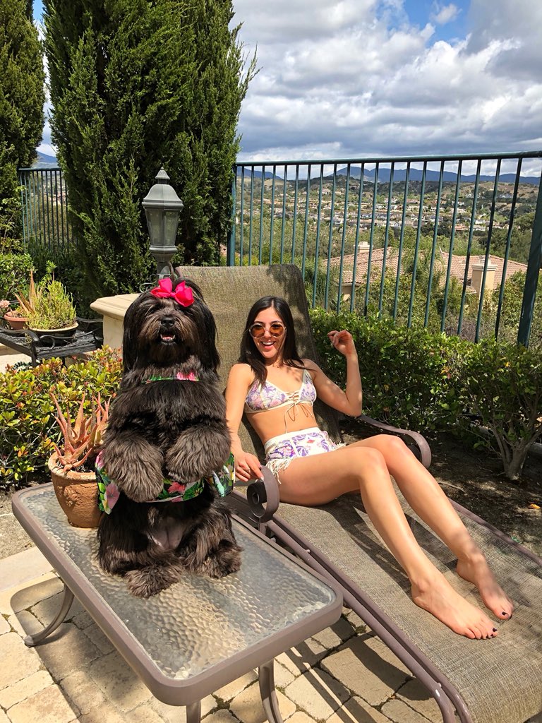 mistricksthedog's tweet photo. We’re ready for day 3 Chella are you? #basicbetches #partywithcardi 🎉 https://t.co/RB1bhu3yy3