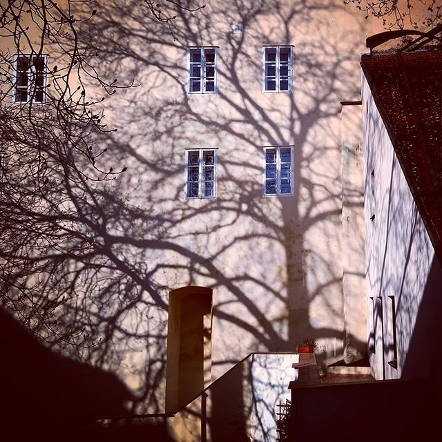 junadamn's tweet photo. Jsem jenom dvůr
ztemnělé útočiště můr
korzo krys a galerie kanálů
divadlo špíny bez opony, bez sálu ... (Filip Topol, Střepy)
#iam #just #a #backyard #filiptopol #prague #praha #snemovni #czechia #igerscz #lumia #mobilephotography https://t.co/v3cTkNLugn https://t.co/z39jbeisR8