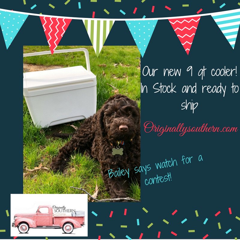 originallysouth's tweet photo. It’s here!  Check out our newest addition! #contest #newcooler #instock #freedelivery #canship https://t.co/GaGbKmIgmx https://t.co/jPkVDNXbxF