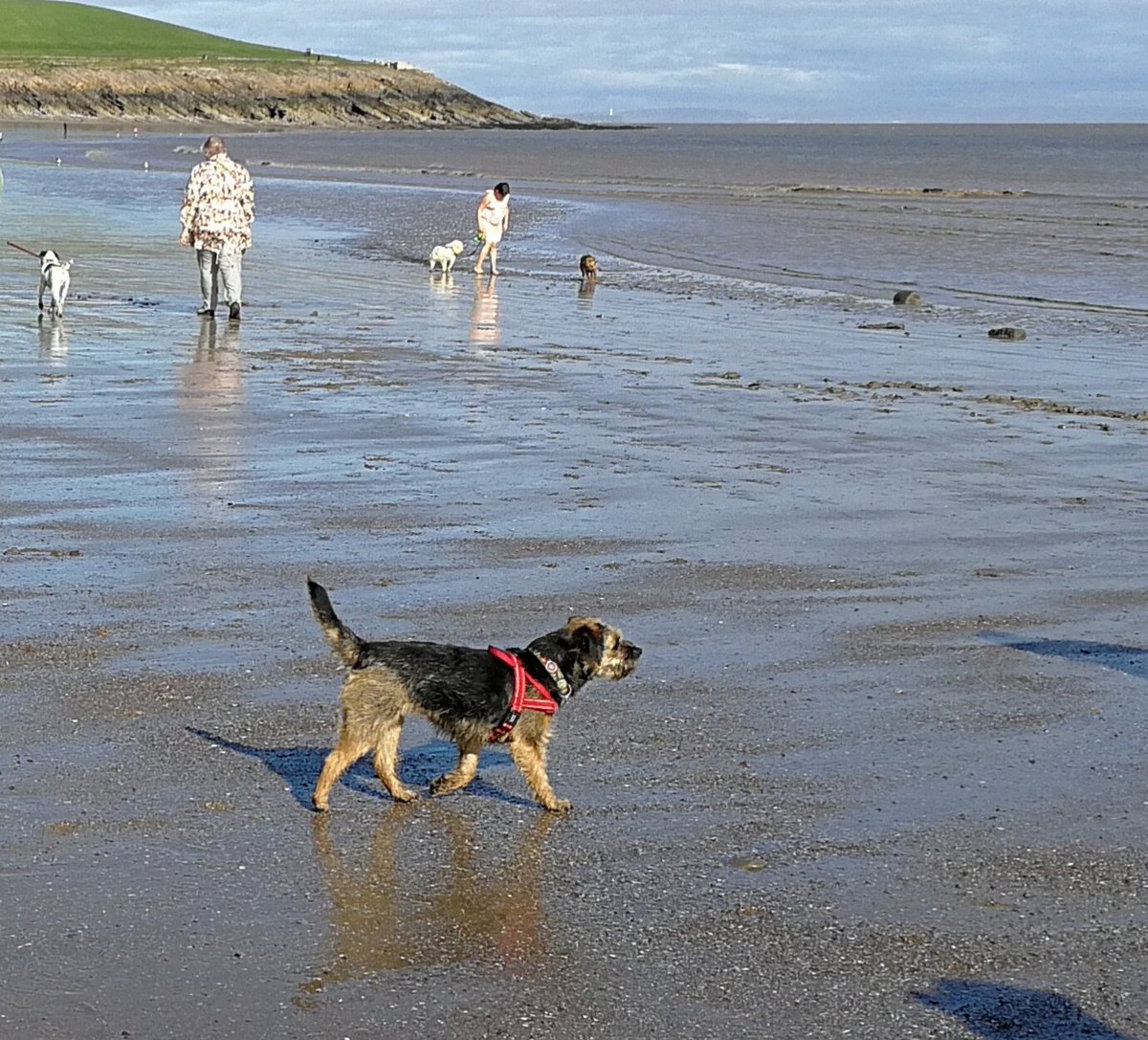 BT_WALES's tweet photo. @Tobi_LeRone on Barry Island beach today, thanks for coming, always good to see you 😀 https://t.co/Kyc9F6LRPL
