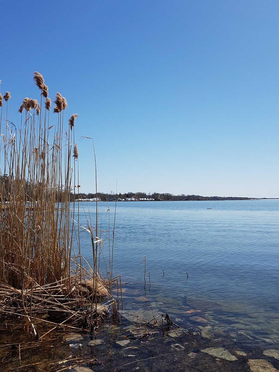 keswick_storage's tweet photo. Why Hello #SpringTime - It's nice of you to show your face  <3 #spring #beach #keswick #georgina #local #storage #outofspaceweretheplace https://t.co/Vmxps2teoI