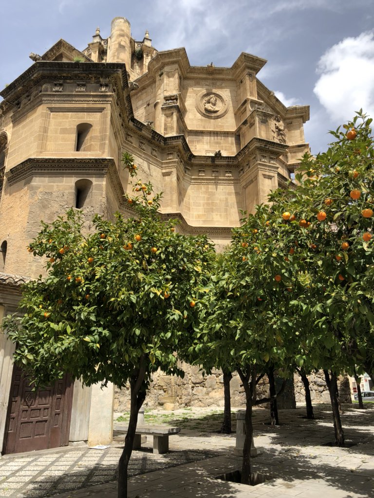 Eva Ferry tweet media