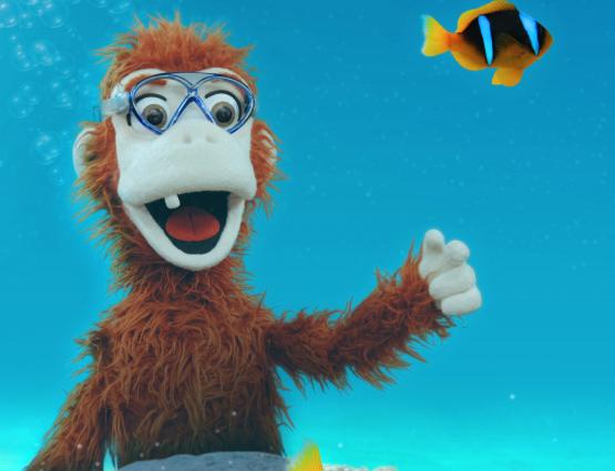 OtagoMuseum's tweet photo. Movies @ OM, part of the #WildDunedin Film Festival and with thanks to #NHNZ!
10.30am and 2pm, Monday 23 April and Tuesday 24 April
Free, in the Barclay Theatre
More info > https://t.co/Phcy61nGSP https://t.co/fwLZvKmzhc