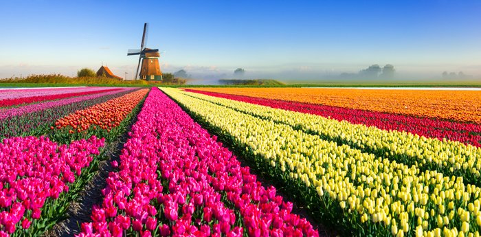 #Training in #Amsterdam 
#SMART #Government Training iaiuniversity.nl or send whatsapp to +31626009697