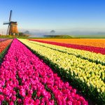 Photo by IAI University Delft (@iaidelft)