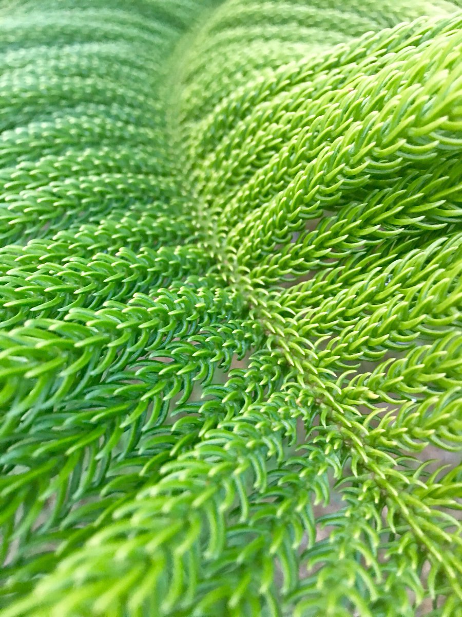 Robb Kulin tweet media