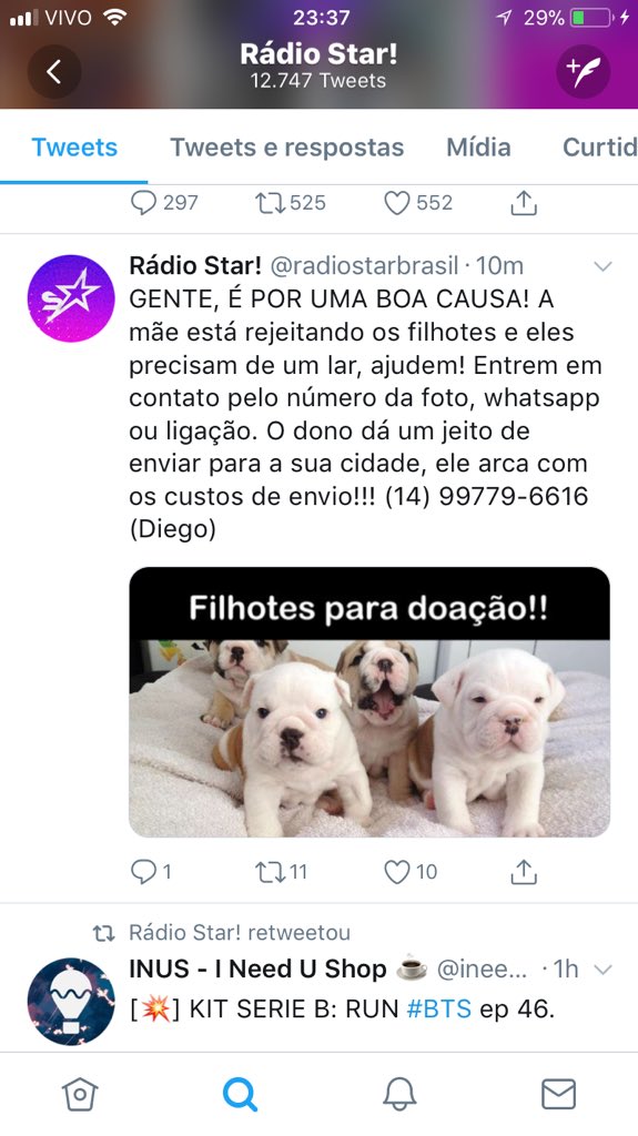dieguinBoaretto's tweet photo. Meus amigos são uma cambada de animal fpd 😂😂 gente isso é FAKE ! Não me mandem msgs https://t.co/4tTdmv5zU4