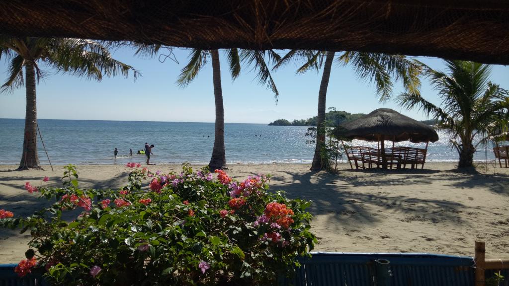 MCJames_716's tweet image. #miming
Tara na @MCTia_716 @MCDemetri_716