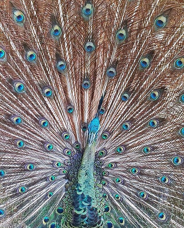 ift.tt/2qOqUyi [Infolengkap] Faktagram hari ini #Infolengkap #fakta #mostpopular via Instagram