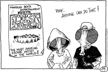 wiseflies's tweet image. I just found this gem associated with an article! 😂 jeb.biologists.org/content/206/8/…