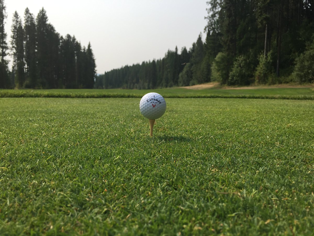 tricklecreekbc's tweet photo. YES! We are taking Tee Time bookings! Book yours online - https://t.co/wkt7aF10E0 #mykimberley #agoodplacetobe #practiceswing #teetime #booknow #golfseason #golfsoon https://t.co/5CWmciJhgw