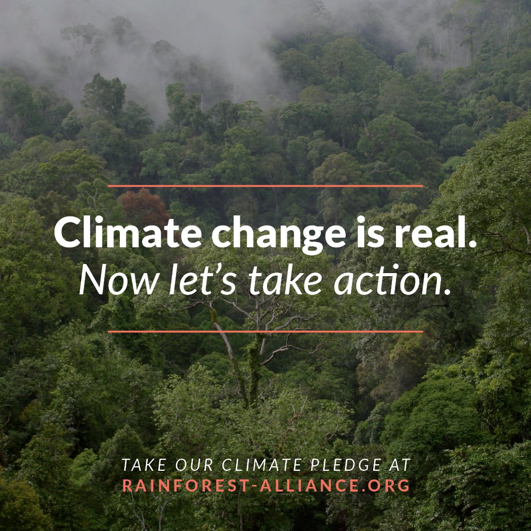 Our resolve to #KeepForestsStanding and fight #ClimateChange is stronger than ever, but we can't do it alone. Take action and sign our #climate pledge today: bit.ly/2mVHn2w #EarthDay