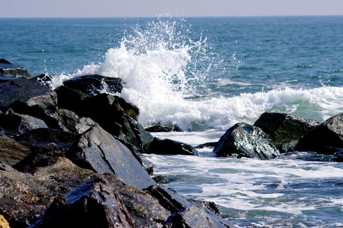 JoshuaWelle's tweet photo. We need a national renewable energy strategy. I will work to expand the clean energy sector in our region, seek federal funding to help clean up toxic waste sites, and fight to protect our public lands, open spaces, and waterways. #EarthDay #NJ04 #RunWithWelle https://t.co/sc901ARRYN
