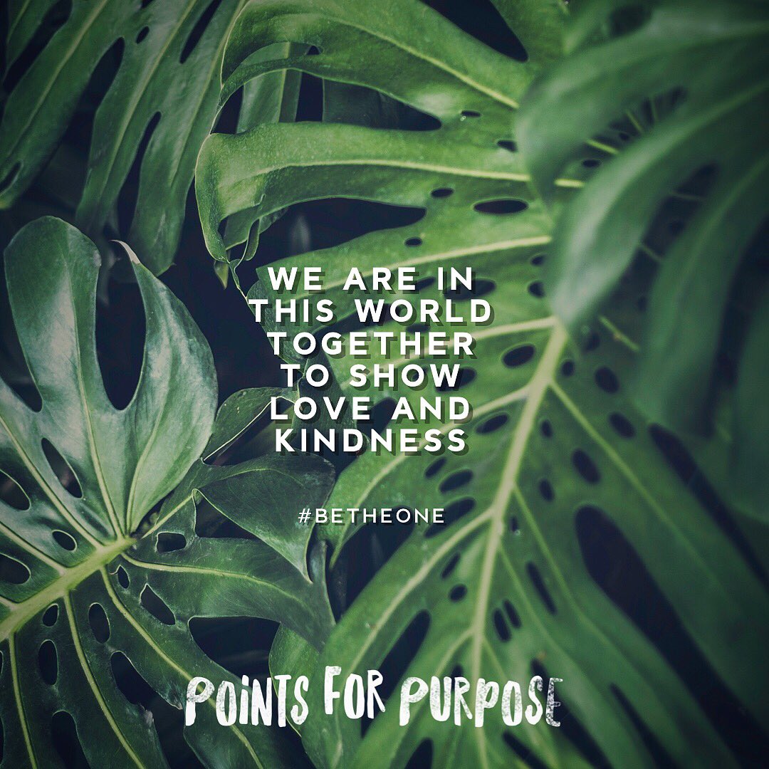 points4purpose's tweet photo. What ever you do this week, do it with love and kindness.
#bethedifference #kindnessmatters #love #kindness #pointsforpurpose https://t.co/xUsOwOcqKs