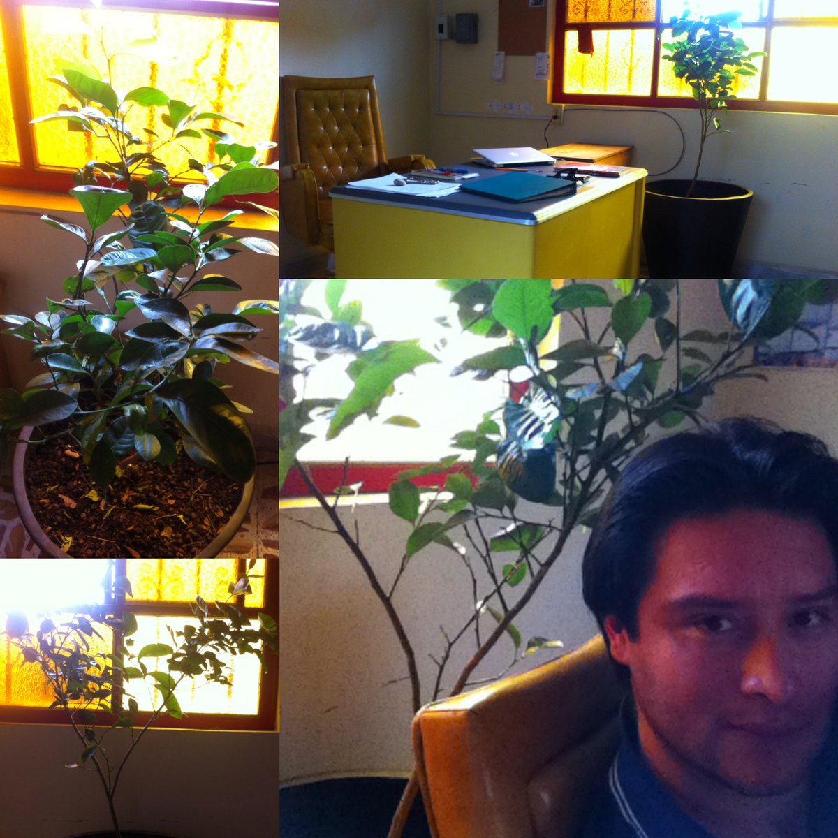 jalejandrocd's tweet photo. ¿Como cambia un pequeño árbol mi entorno? Al plantarlo y cuidarlo me ayuda a reducir mi propia huella de carbono, me da armonía, tranquilidad y muchos beneficios.
Todos estamos interactuando dentro de este organismo viviente; por lo tanto es importante cuidar el Planeta Tierra. https://t.co/dGvphTSzUD