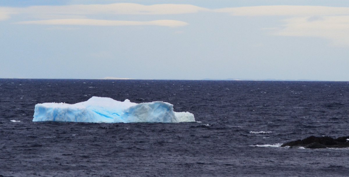 PrimeBerth's tweet photo. @NLtweets Big Berg off Exploits Island this morning as well as smaller on by Crow Head, Twillingate. Photos  Capt Dave @PrimeBerth https://t.co/fKzdq4Tglc