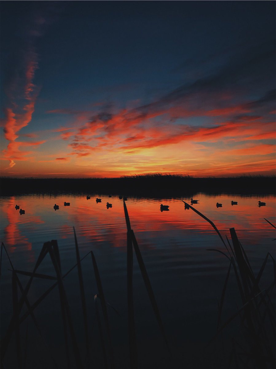 DenzelGoolsby's tweet photo. My favorite part of taking pictures are the moments that make you recognize God as the creator because only beauty of that magnitude can come from a perfect God. #EarthDay https://t.co/Uxc8eGkLcW