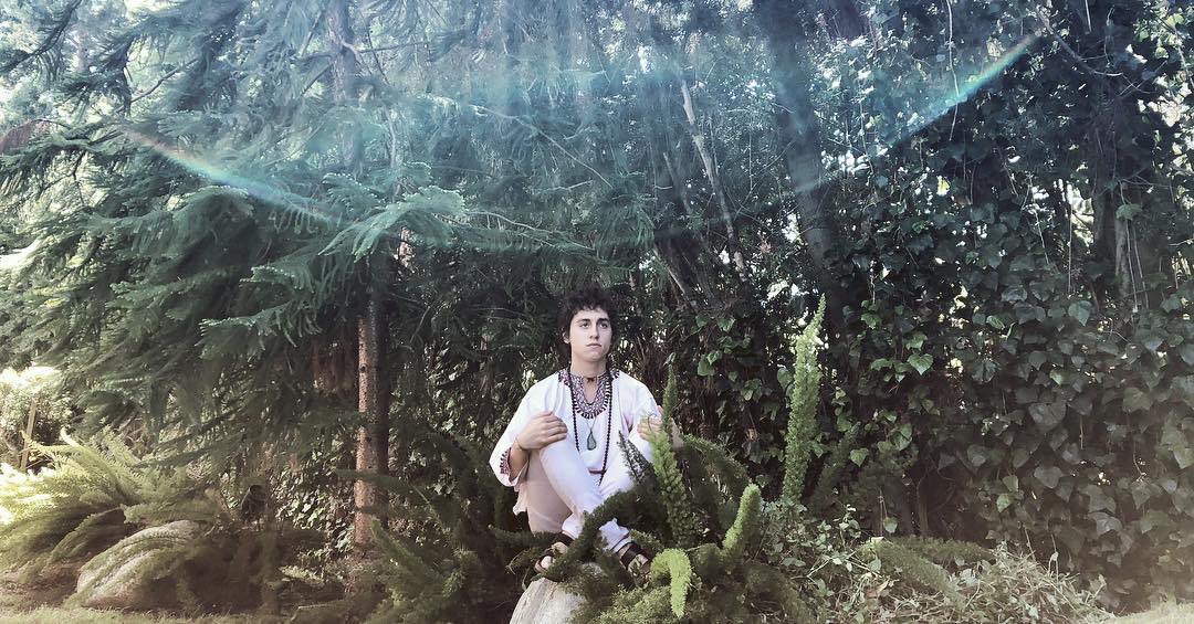 GretaVanFleet tweet picture