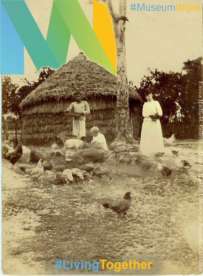 MuseedeNC's tweet photo. Emma Foster Hadfield was passionnate about #kanak culture She watched and listened carefully, mastered the #Iaai language of Ouvéa and the #drehu of Lifou. She collected information and objects among the population 2/2 #womenMW #battleheroineMW #LivingTogether #MuseumWeek #diyMW https://t.co/apftqMNas2