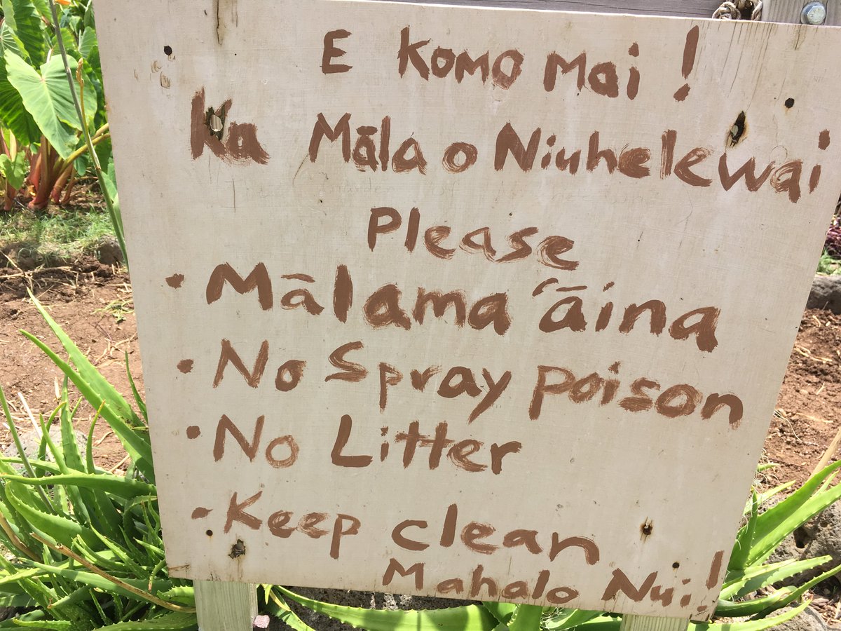 Honolulu Community College on Twitter: "Make an effort to make Earth