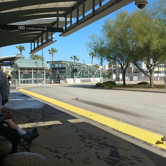 AcidJack420's tweet image. Sitting here with hunger pains waiting for the bus... #bus #orangelinetrain #orangelinebus #LA #vegan #veganblackgirl. #veganbooty #black #blackvegan #blackvegans #blackveganrocks #cannabis #cannabiscommunity #cannabisculture  #weightlossjourney #weightl… ift.tt/2HST6bl