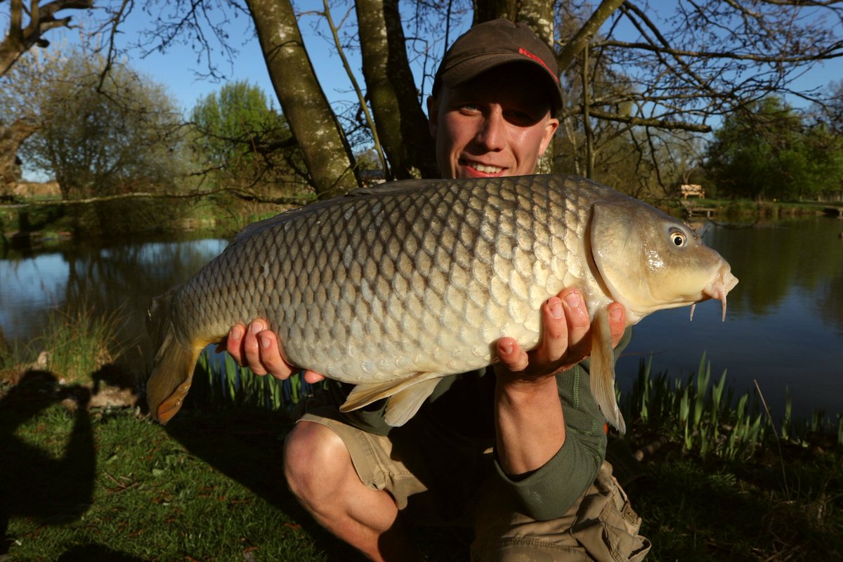 TeamTench's tweet photo. #fishing #carp #carpfishing  #zigrig #korda #nash #foxtackle https://t.co/X5HFjN5eV0