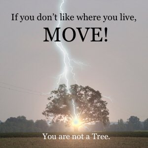 Mc0mie's tweet photo. #move #RealEstate #Realtor #iwanttobeyourrealtor https://t.co/Z02jrpj2CV