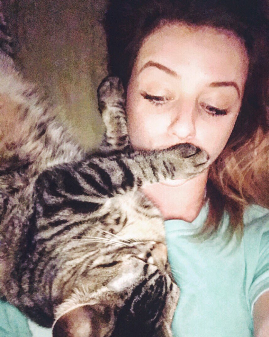 waltonravenBB19's tweet photo. Shhhh shut up and just love me 🐈🤫 #aggressivecat #rookisdaboss https://t.co/DtLTebyr0E