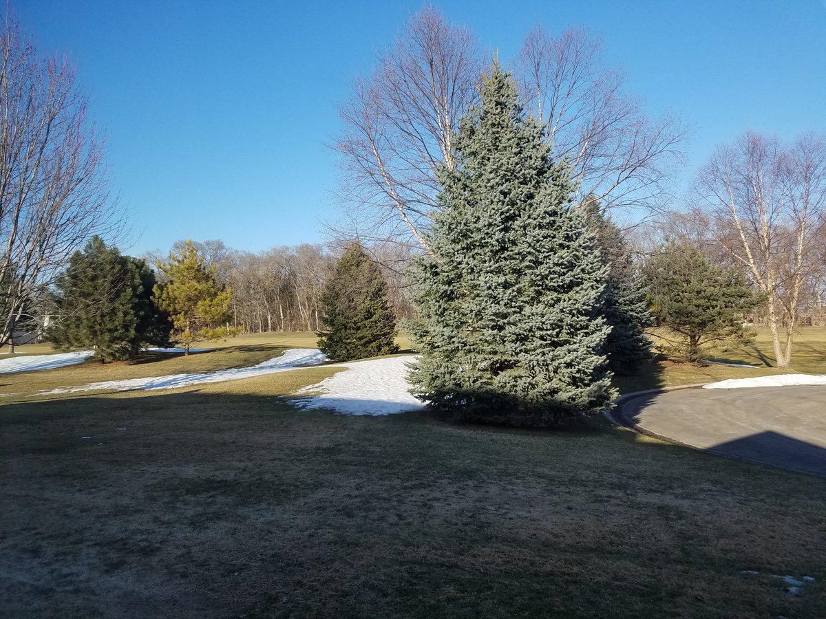 One week in Minnesota weather is like dog years. Happy spring! #mnwx