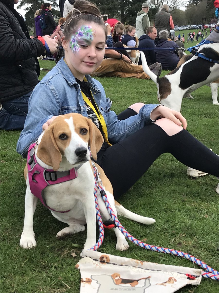 6of6s's tweet photo. #BWR2018 #Beaglelandia https://t.co/H0T1Uvbt20