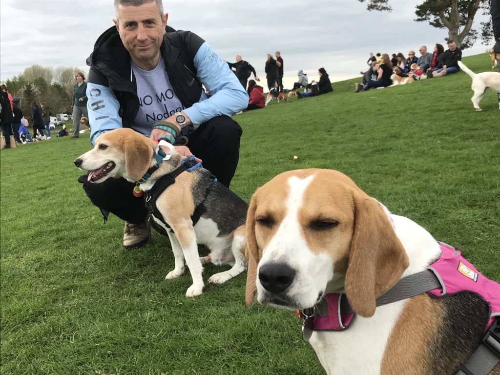 6of6s's tweet photo. #BWR2018 #Beaglelandia https://t.co/pIPMwmwCCT