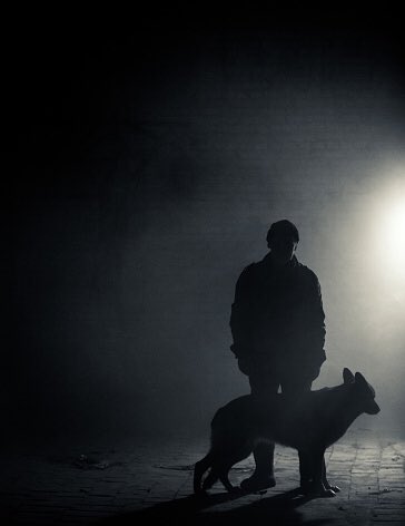 iReadWriteSail's tweet photo. My editor hurt her back so badly we have to push my release date of #DustToStone back to June. #PositiveSpin June is also #PTSD Awareness Month! #PerfectTiming #amwriting #Servicedogs https://t.co/HKb6EYlQ7C