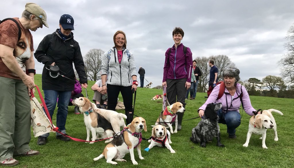 6of6s's tweet photo. #BWR2018 #Beaglelandia https://t.co/W72lPmCDLc