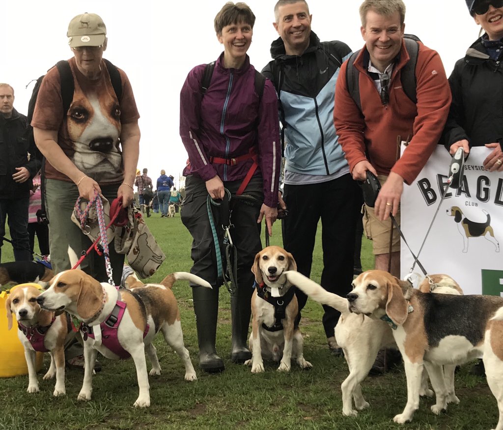 6of6s's tweet photo. #BWR2018 #Beaglelandia https://t.co/hL4adpY4x2