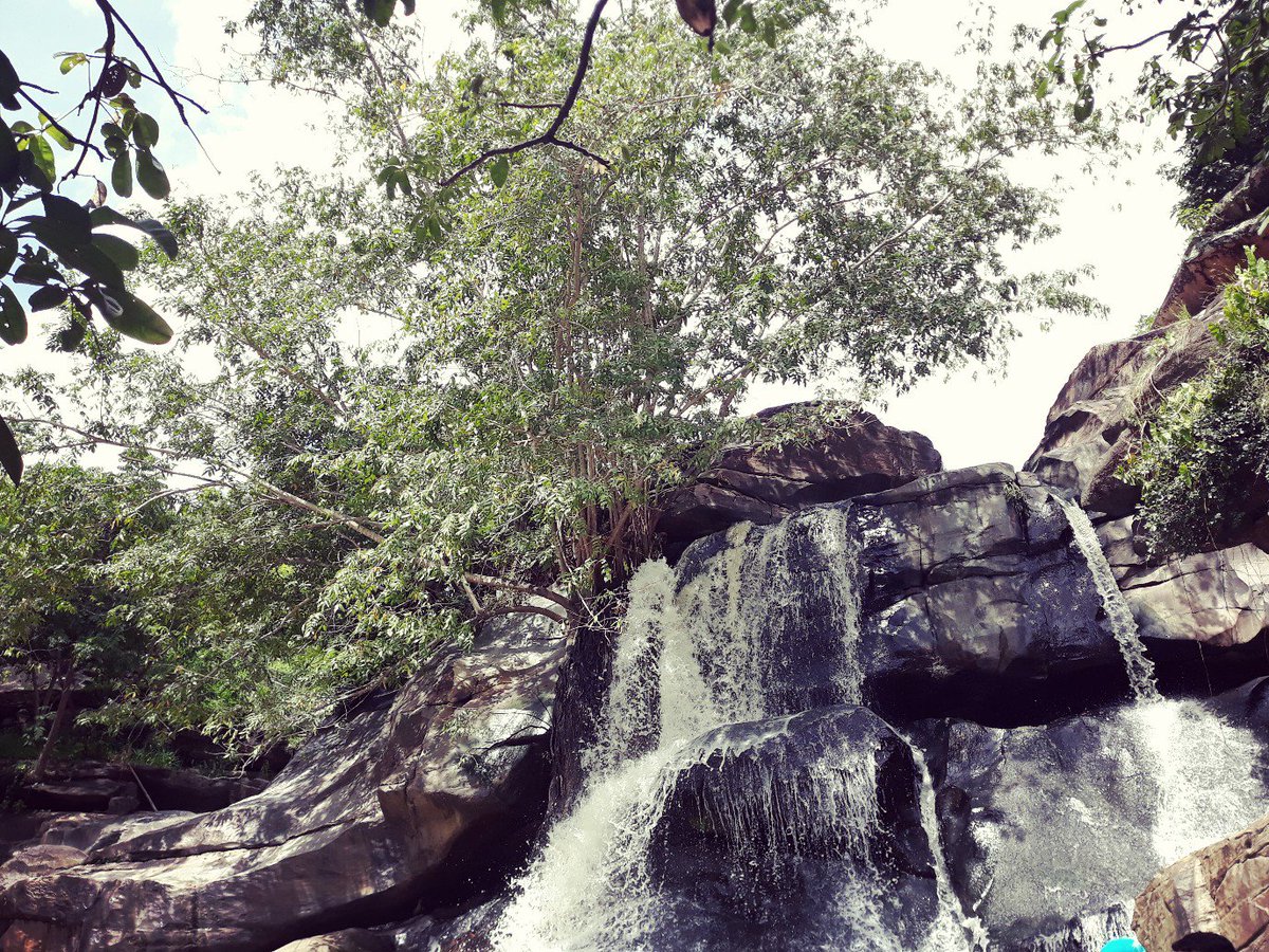 #BetaQuerLab 
#SDV 
#TIMBETAAJUDATIMBETA