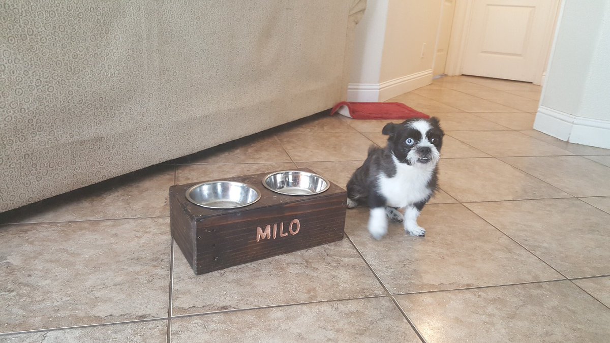 wickedrustic's tweet photo. Well it looks like @wickedrustic has gone to the dogs! Custom dog bowls that is! They are RUFF customers! Get your doggie one today! #diy #min #FixerUpper #doglovers #BattleBorn https://t.co/KDax8c8YZD