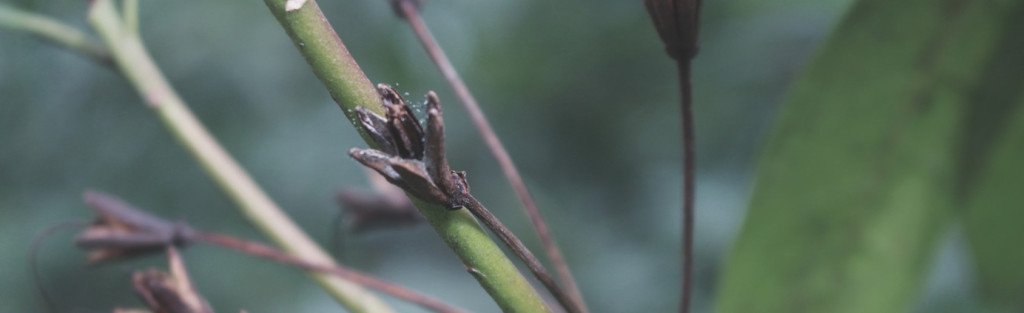 studenthideaway's tweet image. Review: Is This Blog Helpful? studenthideaway.wordpress.com/2018/04/23/rev…